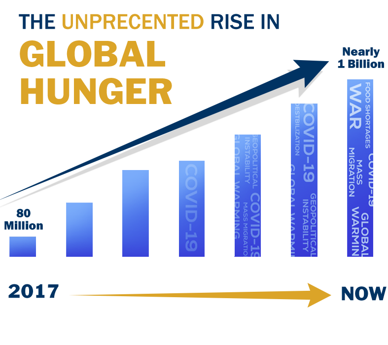 The Rise in Global Hunger